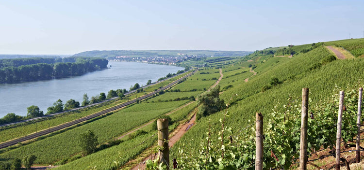 Rheinhessen