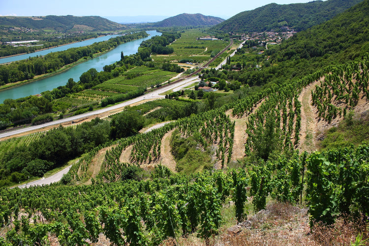 Rhône