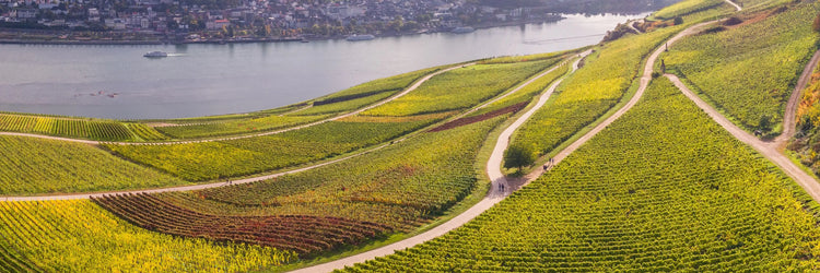 Rheingau