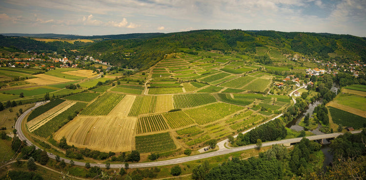 Kamptal