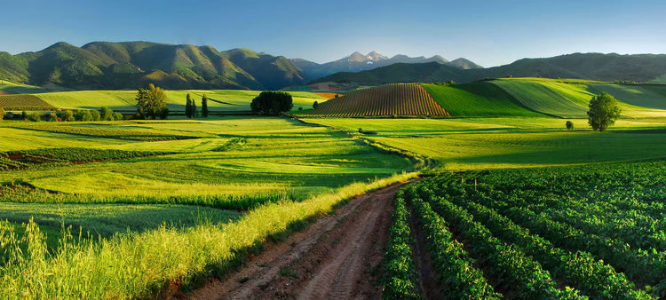 Rioja