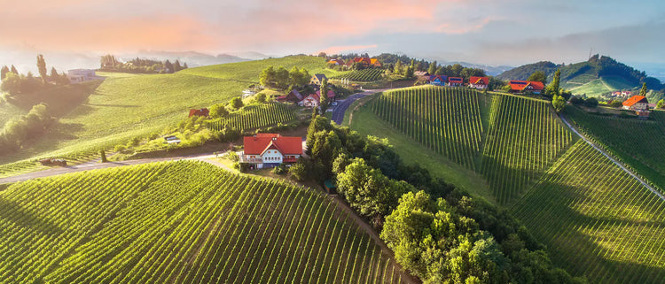 Südsteiermark