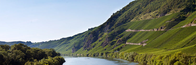 Mosel